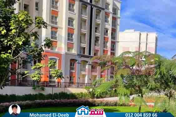 WhatsApp Image 2025-08-21 at 3.41.37 PM (3)