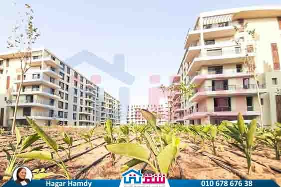 WhatsApp Image 2025-08-21 at 3.42.34 PM (3)