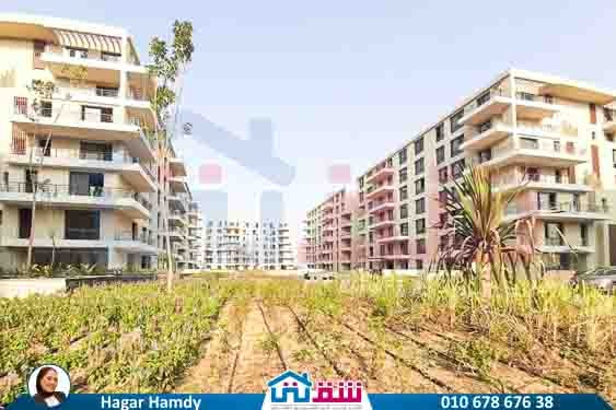 WhatsApp Image 2025-08-21 at 3.42.34 PM (4)