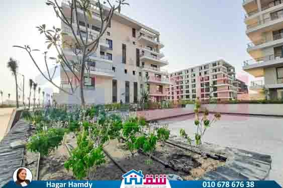 WhatsApp Image 2025-08-21 at 3.42.35 PM (1)