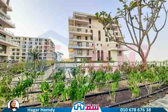 WhatsApp Image 2025-08-21 at 3.42.35 PM (2)