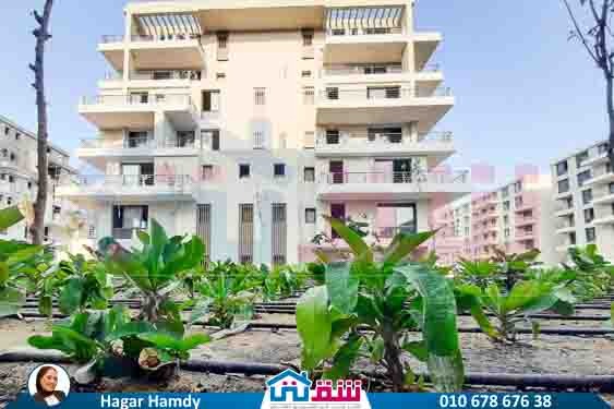 WhatsApp Image 2025-08-21 at 3.42.35 PM