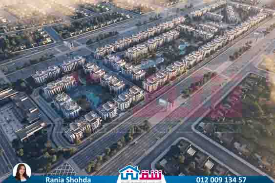 WhatsApp Image 2025-08-22 at 6.47.15 PM (3)