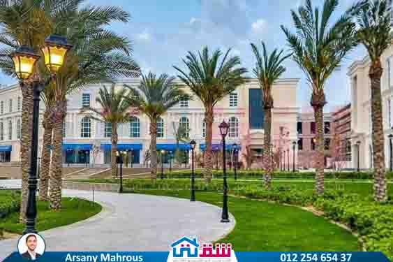 WhatsApp Image 2025-08-23 at 3.51.29 PM