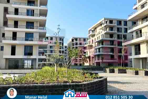 WhatsApp Image 2025-08-25 at 3.22.31 PM (1)