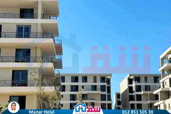 WhatsApp Image 2025-08-25 at 3.22.32 PM