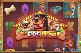 도그하우스 당신을 기다리는 재미있는 모험 도그하우스 당신을 기다리는 재미있는 모험