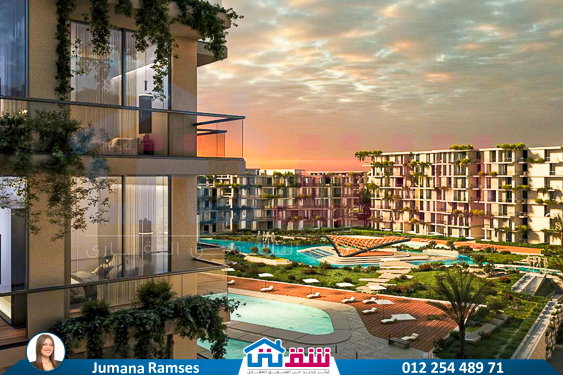 IMG-20250830-WA0065-3