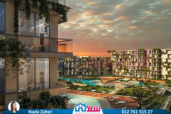 IMG-20250830-WA0065-4