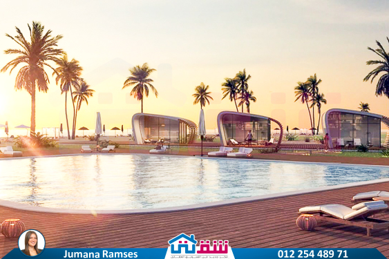 IMG-20250830-WA0071-3