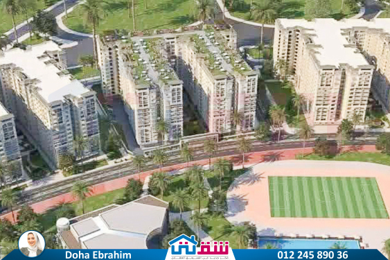 IMG-20250830-WA0077-2