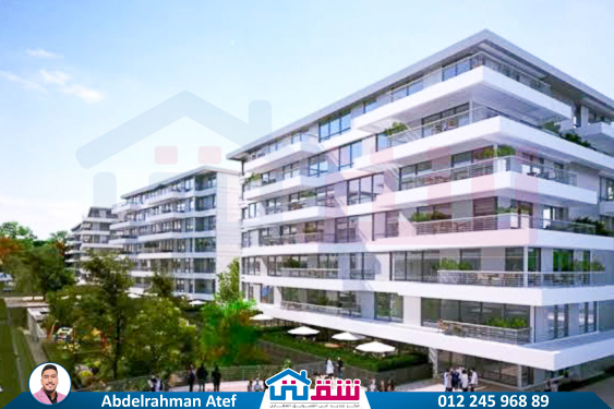 IMG-20250830-WA0118-2