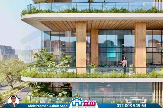 WhatsApp Image 2024-10-26 at 2.47.38 AM