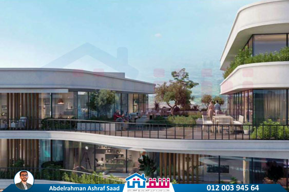 WhatsApp Image 2024-11-20 at 8.29.35 PM (1)