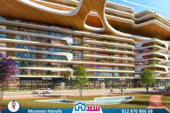 WhatsApp Image 2024-11-20 at 8.29.35 PM