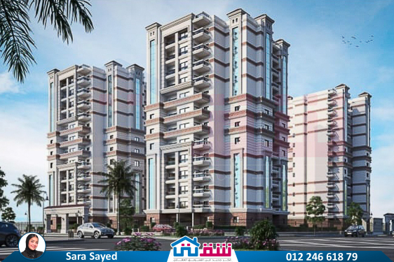 WhatsApp Image 2024-12-05 at 10.03.25 AM