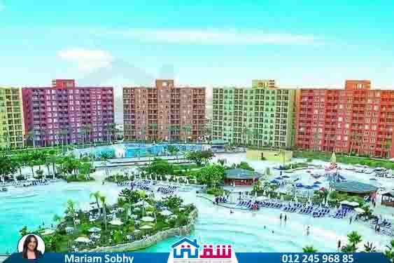 WhatsApp Image 2025-05-06 at 12.31.19 PM