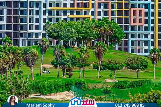 WhatsApp Image 2025-05-06 at 12.31.23 PM