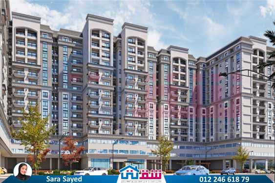 WhatsApp Image 2025-07-23 at 1.53.09 PM (3)