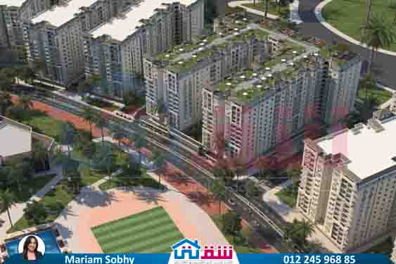 WhatsApp Image 2025-07-29 at 5.50.57 PM