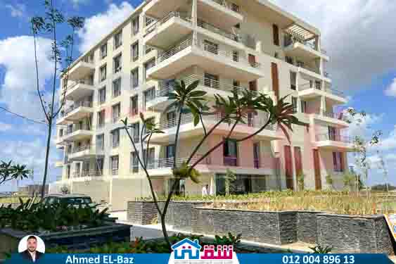 WhatsApp Image 2025-08-07 at 2.17.45 PM (2)