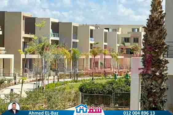 WhatsApp Image 2025-08-07 at 2.17.45 PM