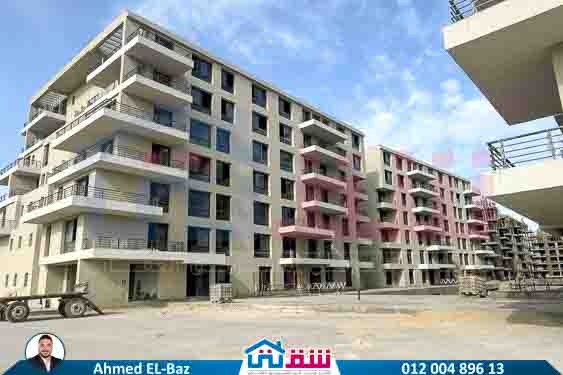 WhatsApp Image 2025-08-07 at 2.17.46 PM (1)