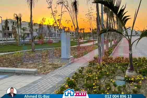 WhatsApp Image 2025-08-07 at 2.17.46 PM (3)