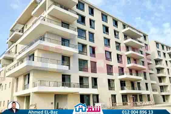 WhatsApp Image 2025-08-07 at 2.17.46 PM