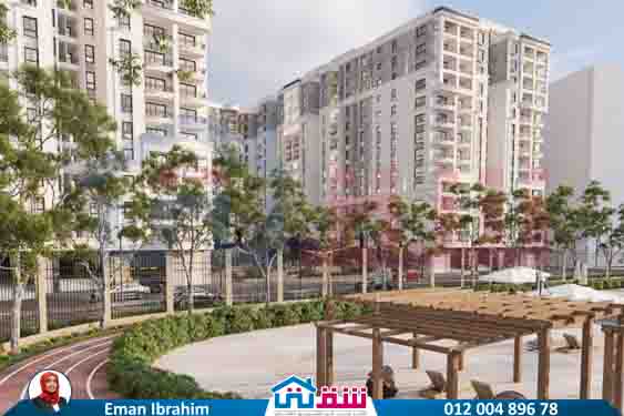 WhatsApp Image 2025-08-13 at 3.48.28 PM (1)