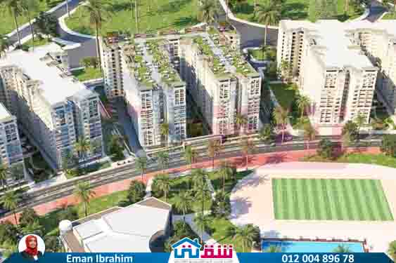 WhatsApp Image 2025-08-13 at 3.48.28 PM