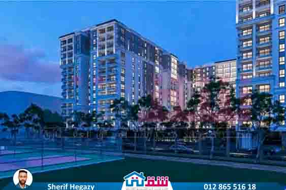 WhatsApp Image 2025-08-17 at 3.05.40 PM