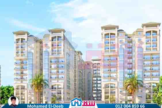 WhatsApp Image 2025-08-17 at 3.05.44 PM (1)