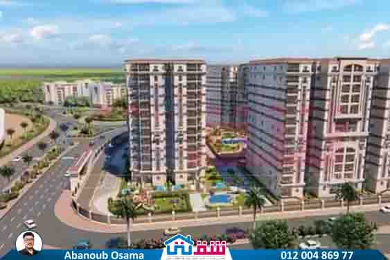 WhatsApp Image 2025-08-18 at 4.24.26 PM