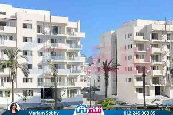 WhatsApp Image 2025-08-24 at 4.57.11 PM