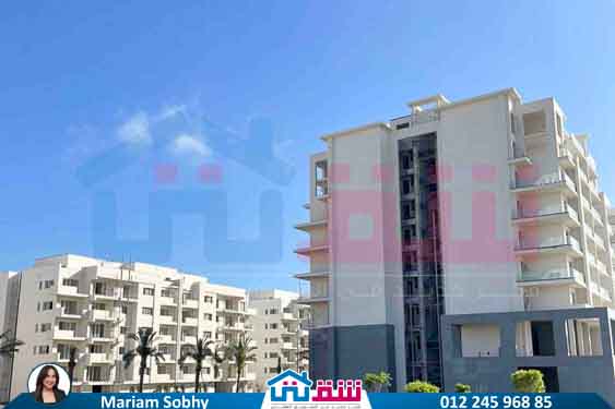 WhatsApp Image 2025-08-24 at 4.57.20 PM