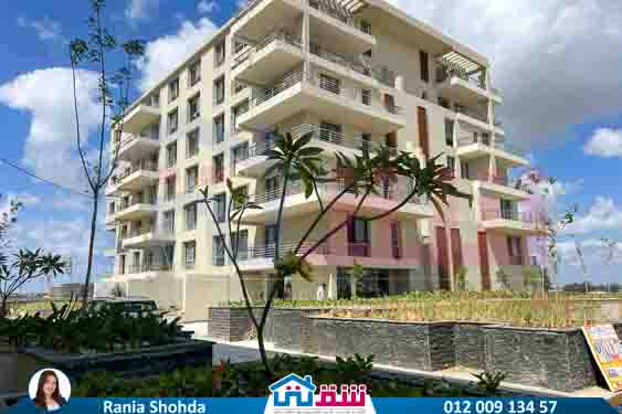 WhatsApp Image 2025-08-28 at 4.50.12 PM (3)