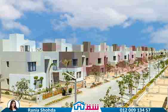 WhatsApp Image 2025-08-28 at 4.50.14 PM (1)