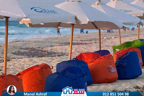 WhatsApp Image 2025-08-29 at 2.50.40 AM-2