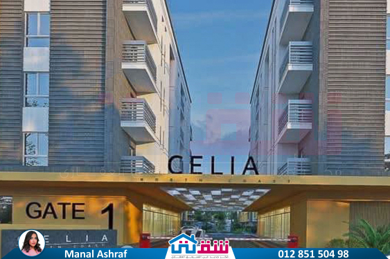 WhatsApp Image 2025-08-29 at 2.50.52 AM (2)-2