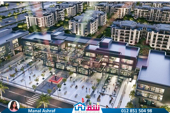 WhatsApp Image 2025-08-29 at 3.18.53 AM