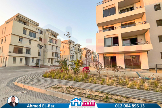 WhatsApp Image 2025-08-29 at 7.53.43 PM