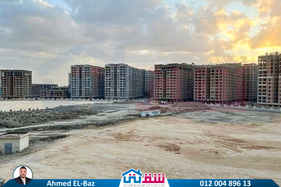 WhatsApp Image 2025-08-29 at 8.25.16 PM-2