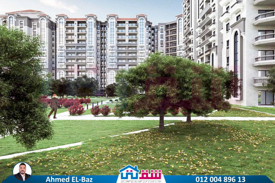 WhatsApp Image 2025-08-29 at 8.25.24 PM (2)-2