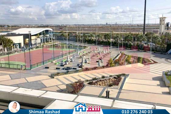 WhatsApp Image 2025-09-03 at 2.38.05 PM (1)