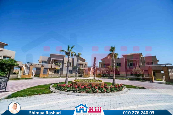 WhatsApp Image 2025-09-03 at 2.38.06 PM