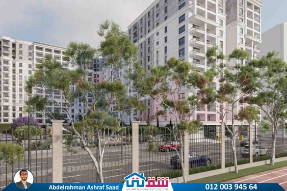 WhatsApp Image 2025-09-11 at 5.34.52 PM (2)