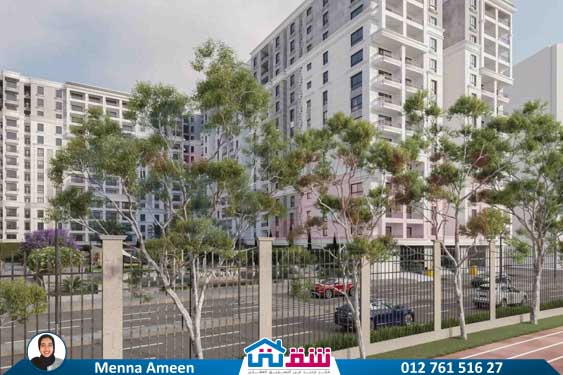 WhatsApp Image 2025-09-11 at 5.34.52 PM (2)