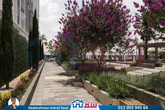 WhatsApp Image 2025-09-11 at 5.34.53 PM