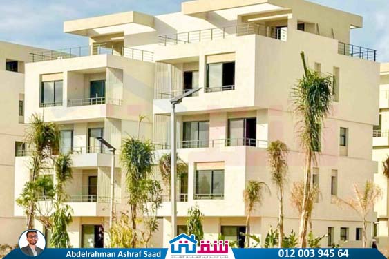 WhatsApp Image 2025-09-13 at 5.38.37 PM